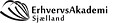 Erhvervsakademi Sjælland