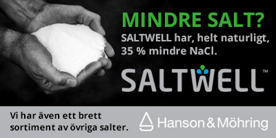 AB Hanson & Möhring
