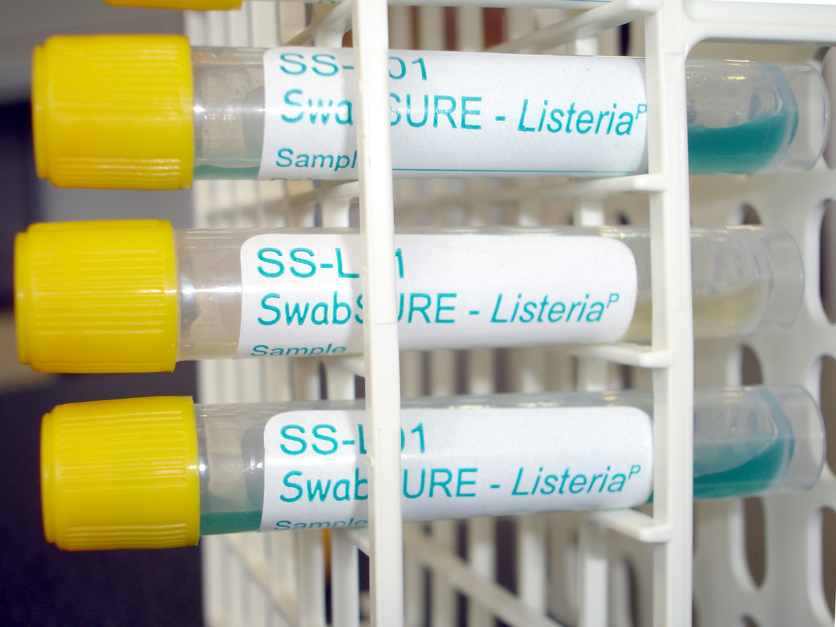 Listeria monocytogenes test til egenkontrol SwabSure ListeriaP