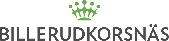 BillerudKorsnas_Logo-Pri_Colour-PMS-C kopia