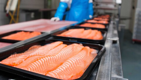 Komplette løsninger til fiskeproducenter over hele verden