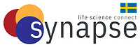 Synapse