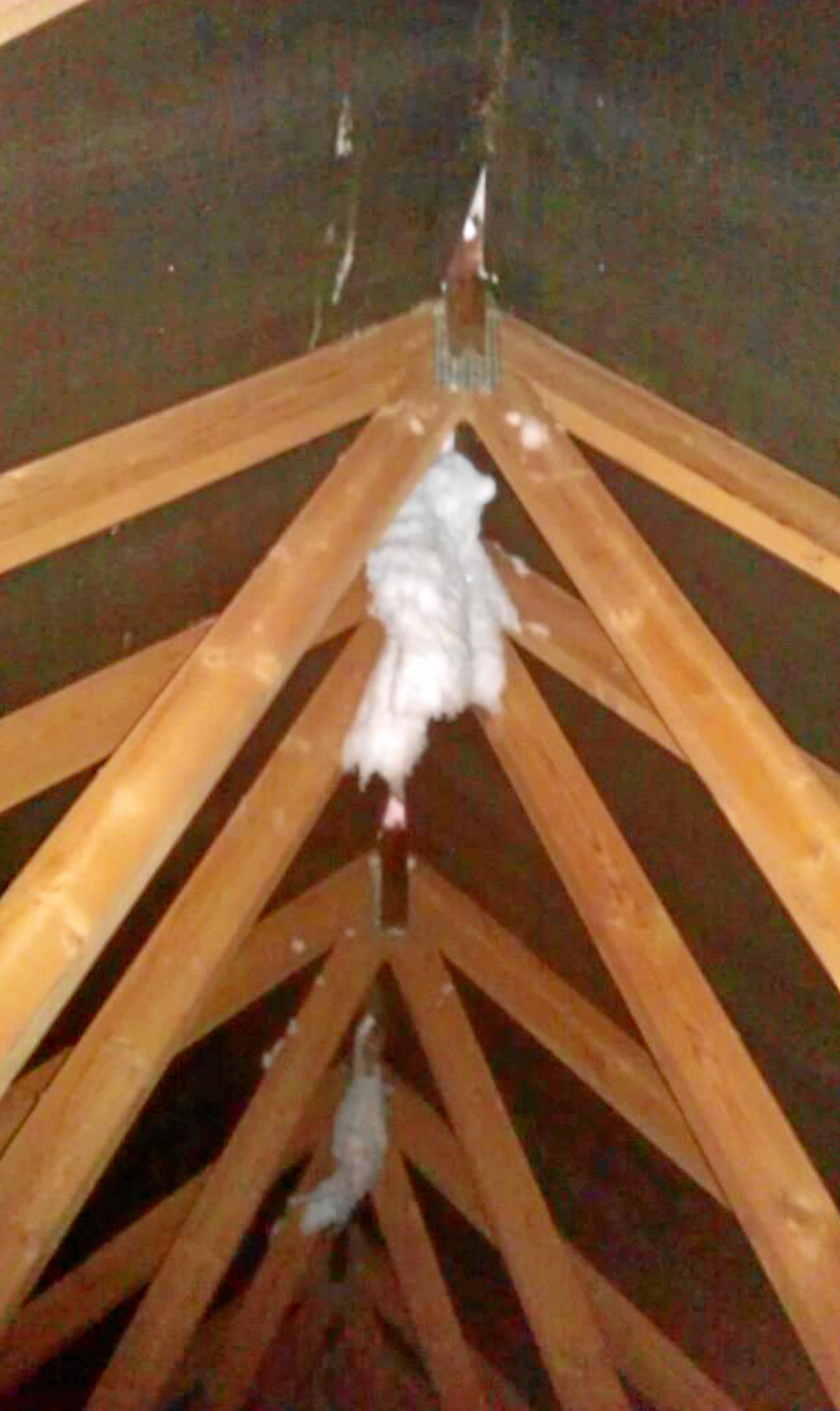 Ny sognegård i Snesere i naturlige materialer