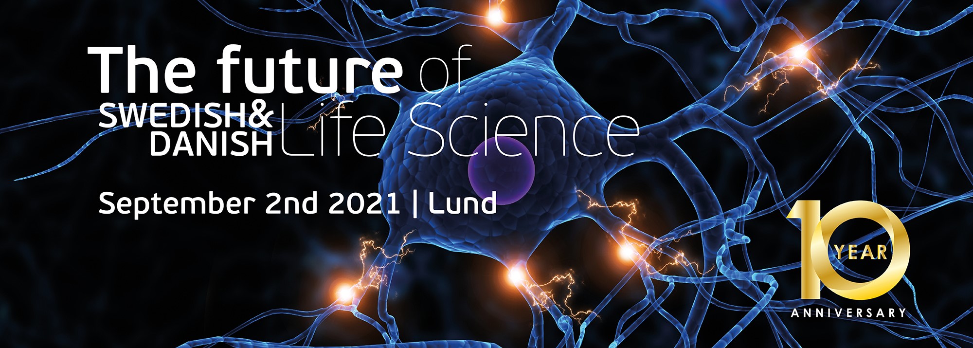 Header beskuren TheFuture_10years