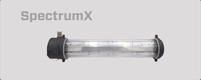 SpectrumX, Ex-sertifisert Led-lys