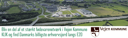 Vejen Kommune