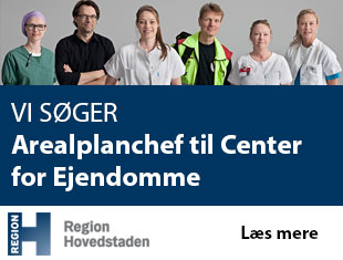 Region Hovedstaden