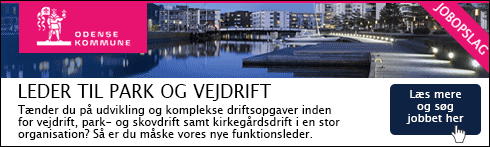 Odense Kommune