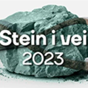 Møt Servi på \"Stein i vei 2023\"