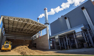 Litauen, biomasse