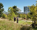 Ramboll Utbildning