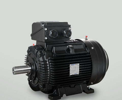3-fasede standardmotorer