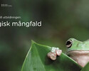 Ramboll Utbildning