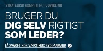 Væksthus Syddanmark