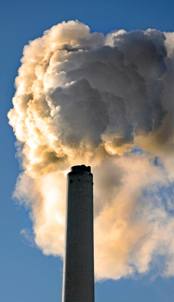 Nej støtte til fossile brændsler - Licitationen