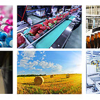 The IP67 Cameras GigE Vision PoE provide you with the quality, versatility, and rugged durability needed to meet your most complex and demanding requirements. Featuring the Sony Gen2 and Gen3 Pregius global shutter sensor technology and advanced Imperx image processing, these cameras are ideal for industrial, pharmaceutical, traffic and transportation, food and beverage, agricultural, automotive, packaging, process control, inspection and many other uses.