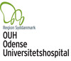 Region Syddanmark