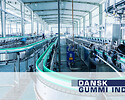 Dansk Gummi Industri A/S