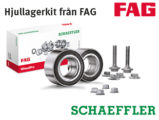 Schaeffler AAM GmbH & Co
