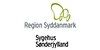 Region Syddanmark