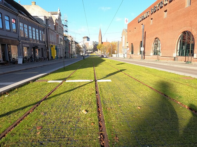 Ecoraster gräsarmering från BG Byggros har bland annat levererats till den danska staden Odense.