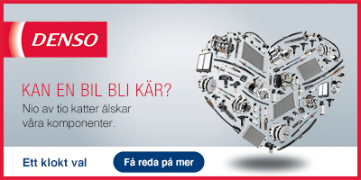 DENSO Europe B.V. (SE)