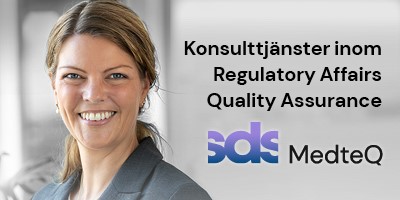 Scandinavian Development Services AB
