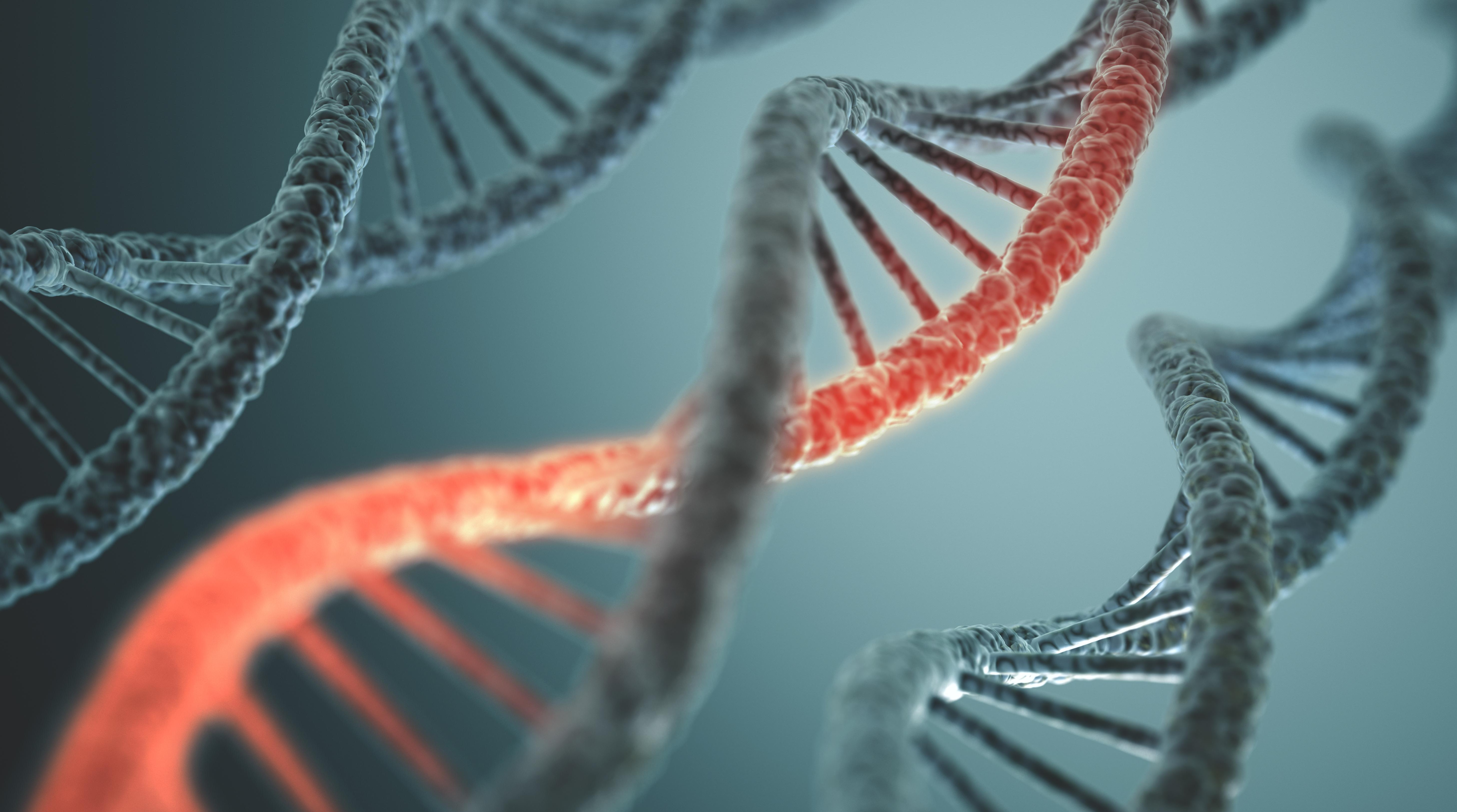 Newly discovered gene variant linked to protection against abdominal obesity - Vimarsana News