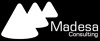 Madesa Consulting