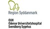 Region Syddanmark